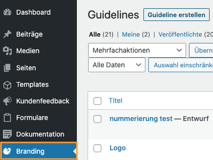 Screenshot Branding Abschnitt in Seitenleiste